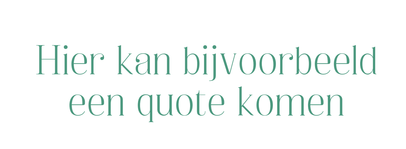 Hier kan bijvoorbeeld een quote komen